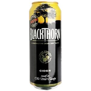 BLACKTHORN CANS 24 X 500ML